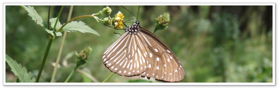 ���w�K�C���[�W