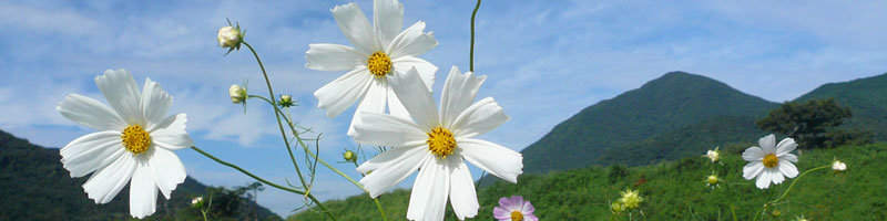 �C�x���g������