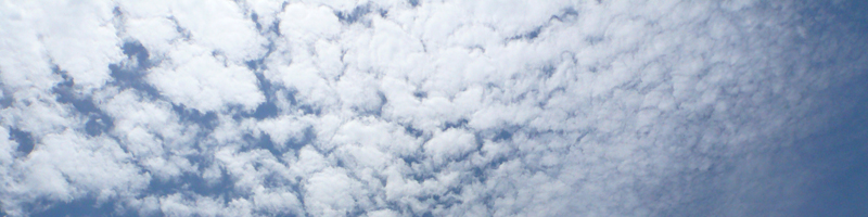 新着&イベント情報